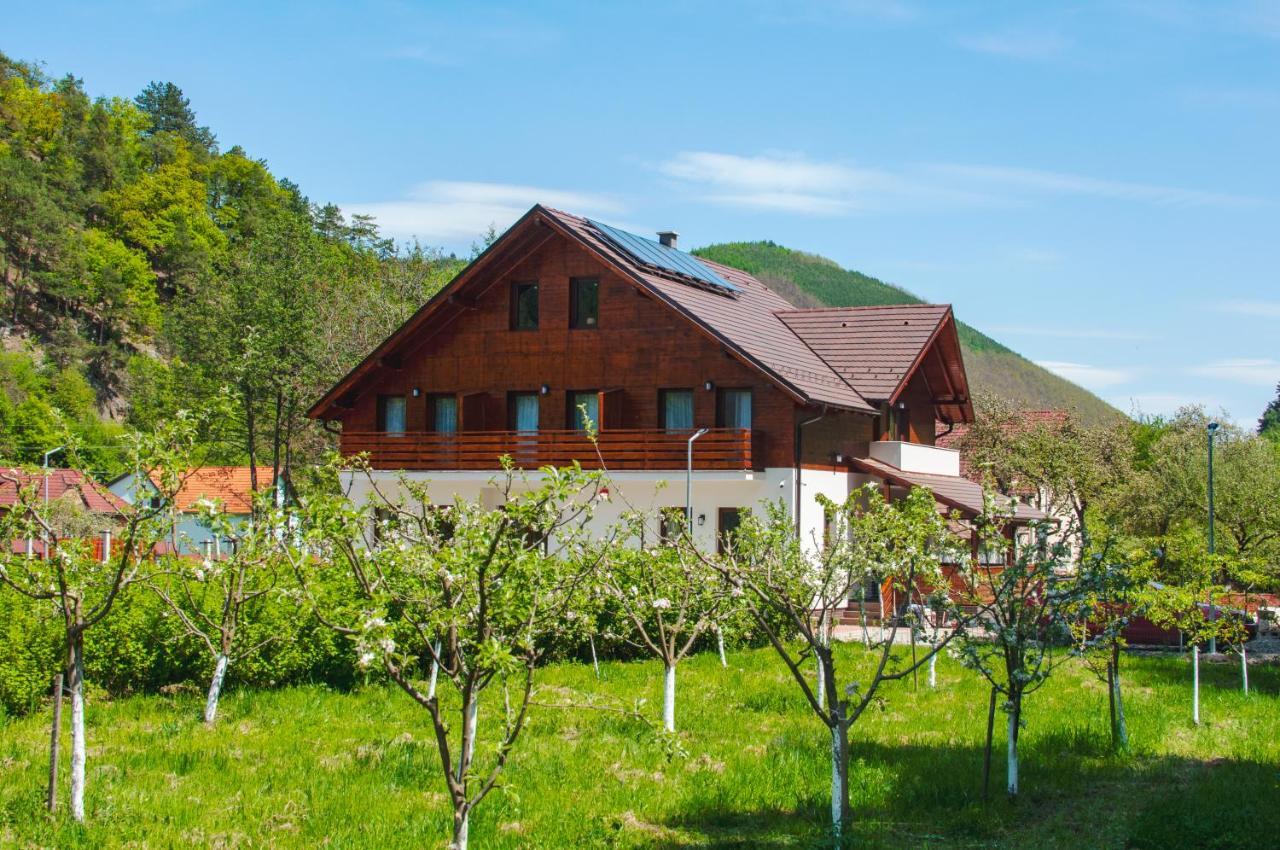 Hotel Livada Amely Gales Esterno foto